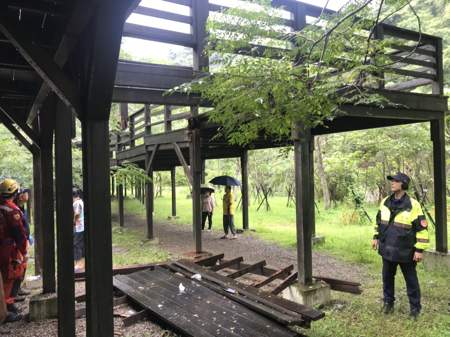 青桐林園區木棧平台白蟻侵蝕崩塌。 圖 : 台中市政府/提供 青桐林園區木棧平台白蟻侵蝕崩塌。 圖 : 台中市政府/提供