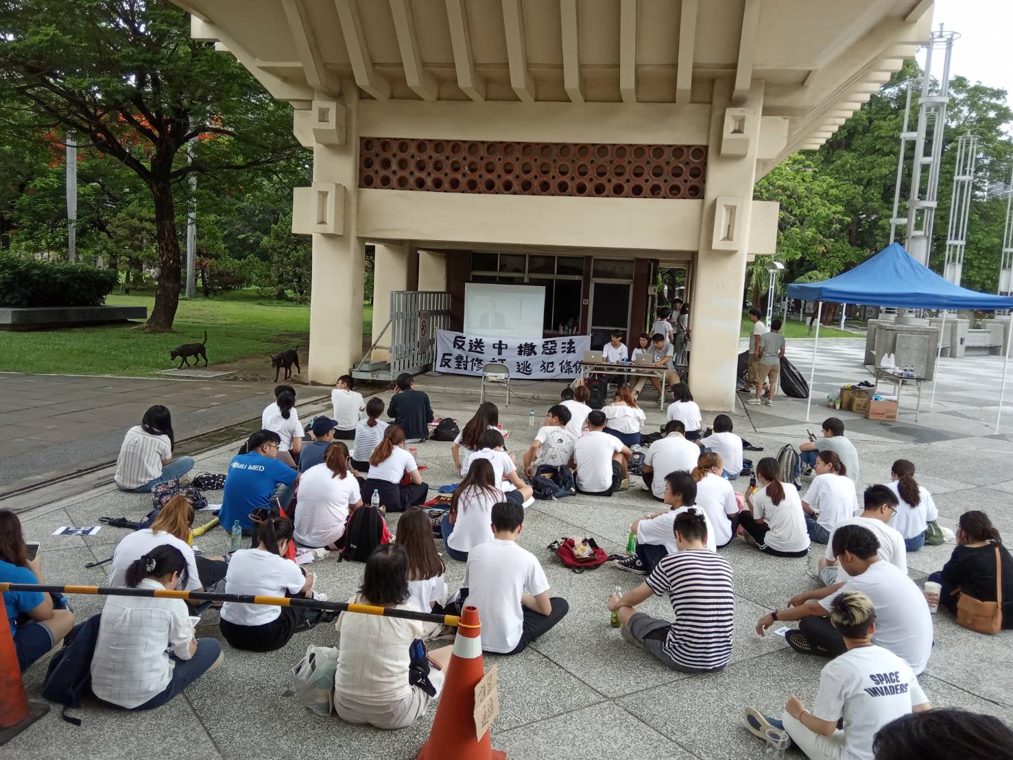 高雄港生在文化中心前觀看立法會直播。 圖:孫家銘/攝 高雄港生在文化中心前觀看立法會直播。 圖:孫家銘/攝