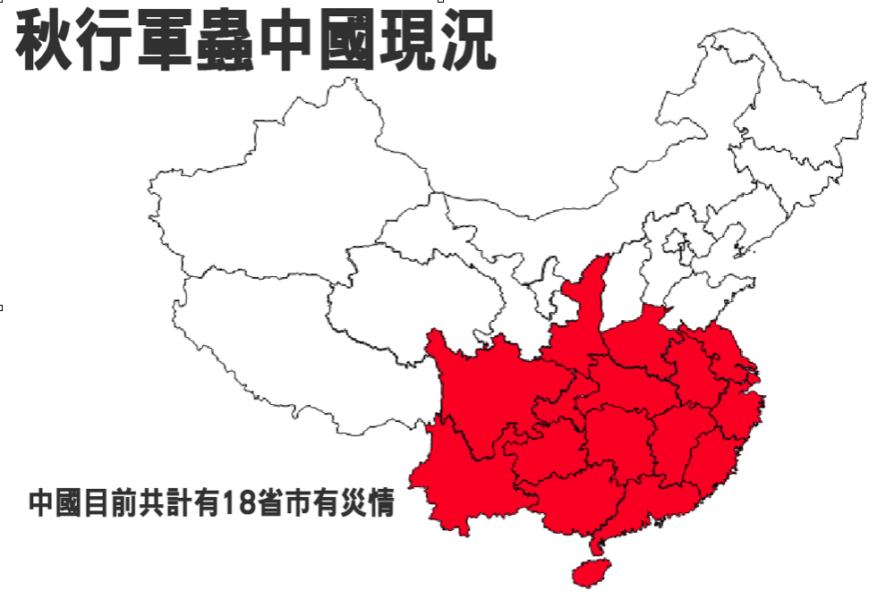 秋行軍蟲中國現況 圖:農委會防檢局/提供 秋行軍蟲中國現況 圖:農委會防檢局/提供