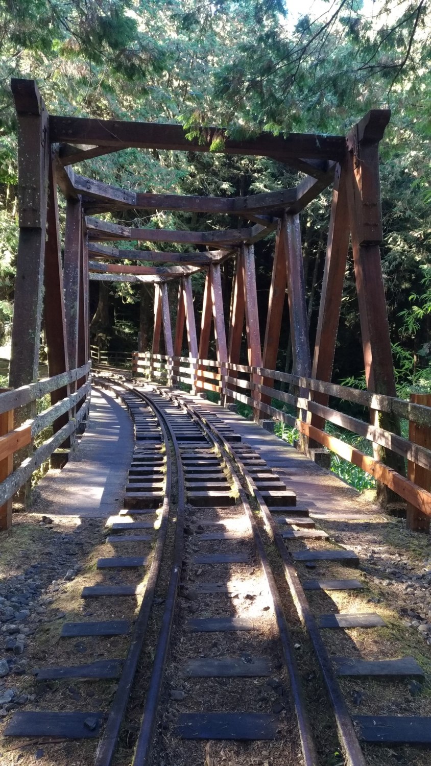 陽光灑落水山步道,邊走步道,邊用心聆聽自然的聲響。 圖:阿里山林業鐵路及文化資產管理處網站/提供 陽光灑落水山步道,邊走步道,邊用心聆聽自然的聲響。 圖:阿里山林業鐵路及文化資產管理處網站/提供