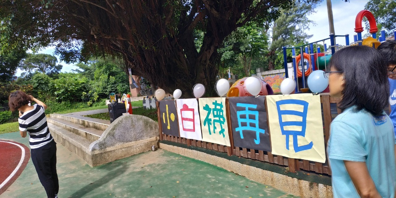 淡水文化國小在校園犬「小白襪」常和大家玩耍的地方,布置大字報。 圖:新北市動保處提供 淡水文化國小在校園犬「小白襪」常和大家玩耍的地方,布置大字報。 圖:新北市動保處提供