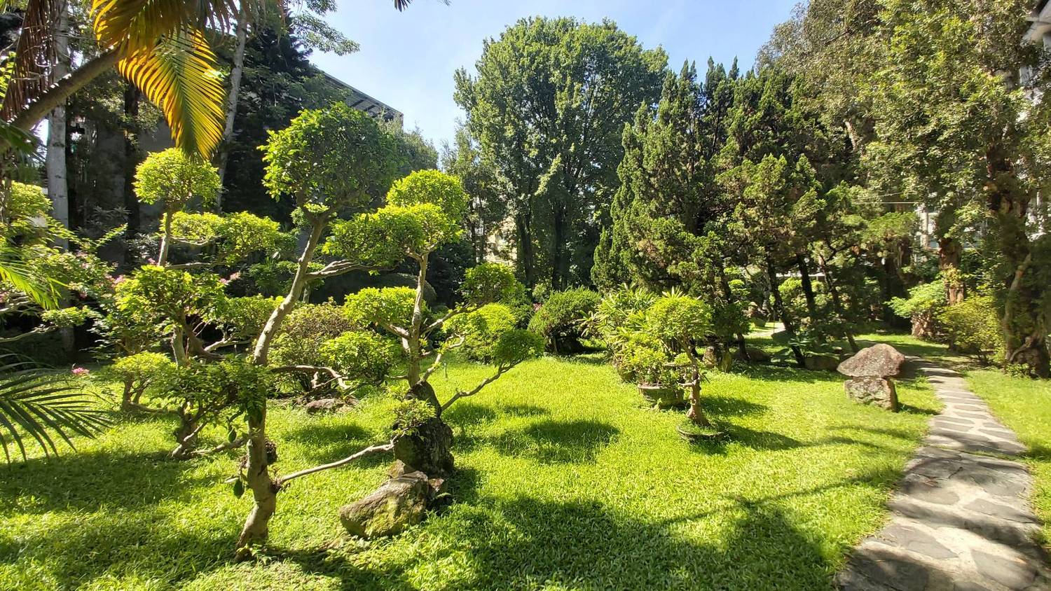調查局偌大的園區,不但花草樹木繁多,還充滿生物多樣性。 圖:新北市動保處提供 調查局偌大的園區,不但花草樹木繁多,還充滿生物多樣性。 圖:新北市動保處提供