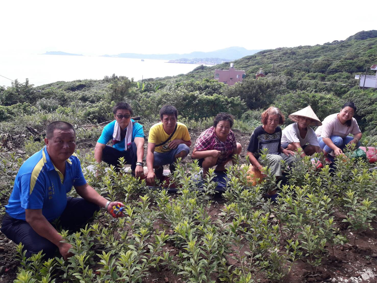 金山區永興里民與農業局合作,在社區內種植1600株萬金杜鵑。 圖:新北市農業局/提供 金山區永興里民與農業局合作,在社區內種植1600株萬金杜鵑。 圖:新北市農業局/提供