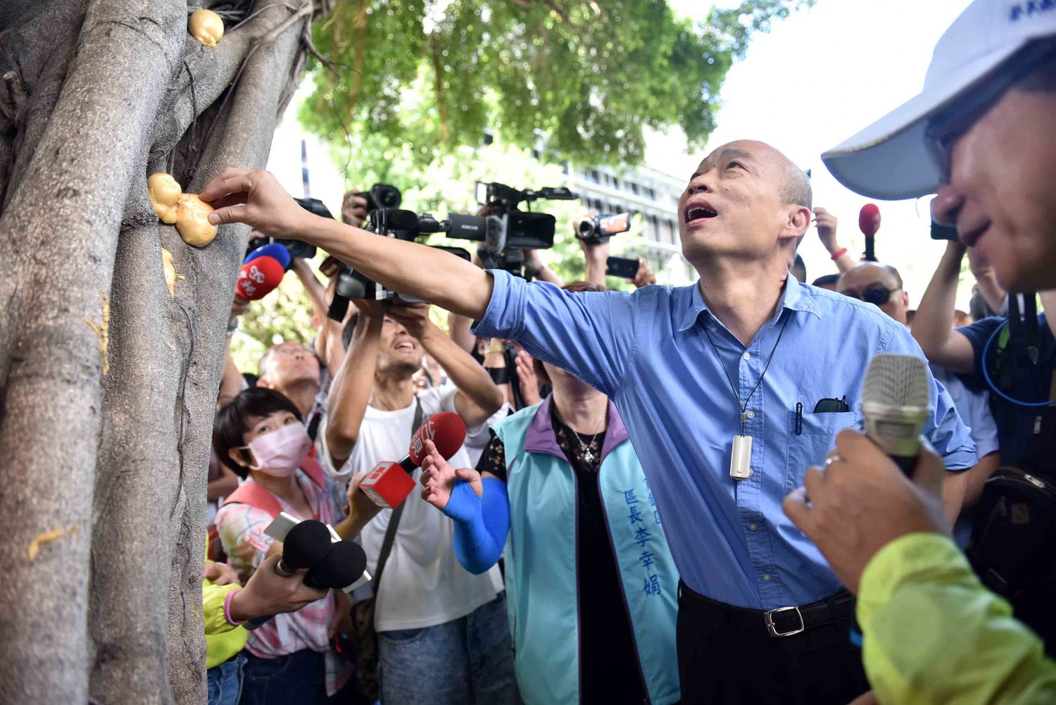 高雄市長韓國瑜24日視察登革熱疫情,詢問路樹樹洞積水狀況處理。此時已見部份樹洞已填發泡劑。 圖:高雄市政府/提供 高雄市長韓國瑜24日視察登革熱疫情,詢問路樹樹洞積水狀況處理。此時已見部份樹洞已填發泡劑。 圖:高雄市政府/提供
