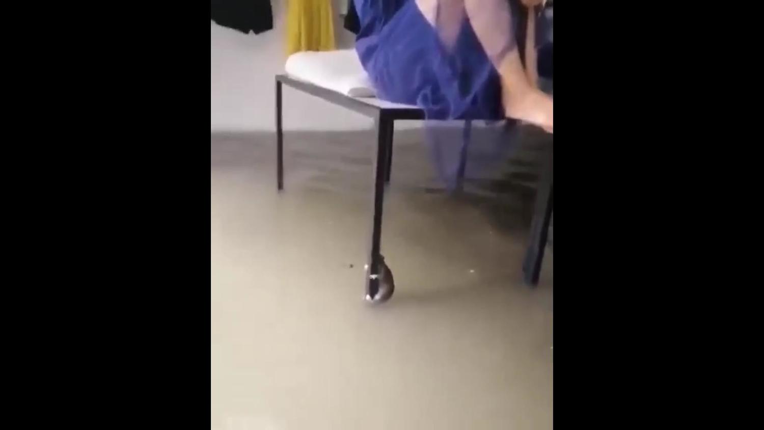 人鼠同避水患,形成相當有趣的畫面。 圖/記者陳聖璋翻攝自臉書 人鼠同避水患,形成相當有趣的畫面。 圖/記者陳聖璋翻攝自臉書