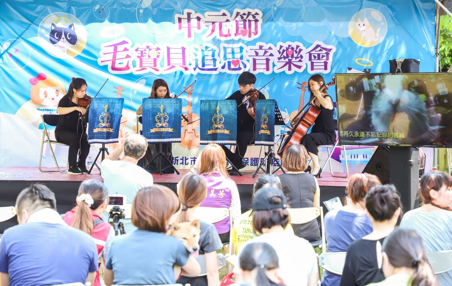 中和動物之家生命紀念園區舉辦追思音樂會,由弦樂四重奏演出。 圖:新北市動保處提供 中和動物之家生命紀念園區舉辦追思音樂會,由弦樂四重奏演出。 圖:新北市動保處提供