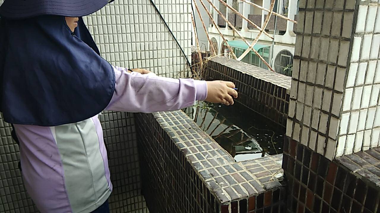 圖 : nownews/提供 圖 : nownews/提供