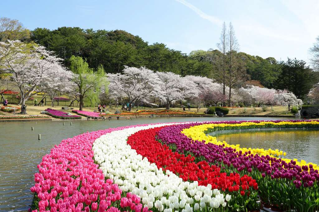 濱松花卉公園位於濱名湖畔,園內栽有約10萬株的植物,四季呈現不同色彩。 圖:翻攝自台北旅遊網 濱松花卉公園位於濱名湖畔,園內栽有約10萬株的植物,四季呈現不同色彩。 圖:翻攝自台北旅遊網