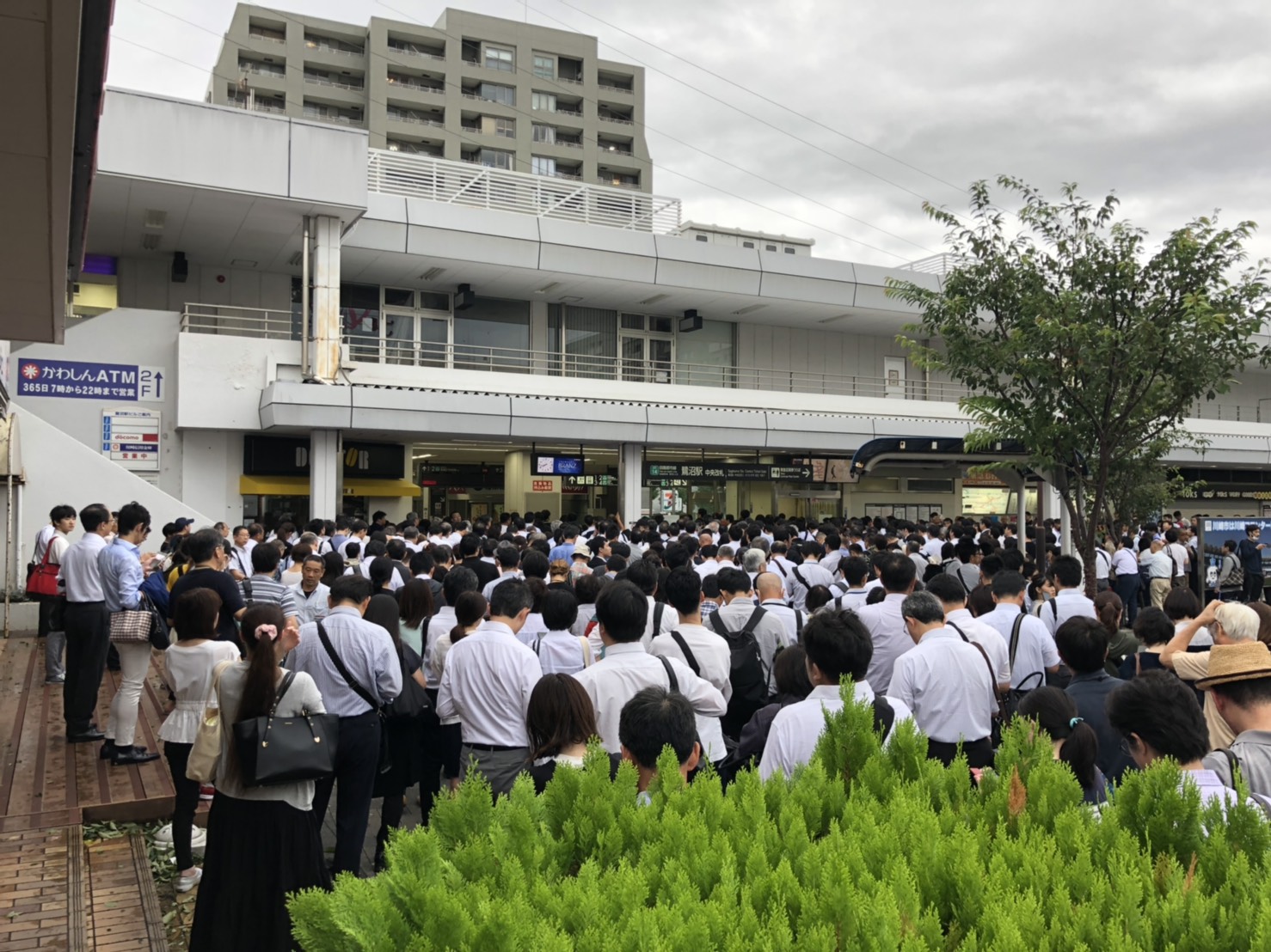 第15號颱風「法西」吹襲日本關東地區,日本沒有放颱風假,雖然電車一度停駛,但東京電車早上8時多開放,站外等候上班的人潮滿滿,這就是日本人敬業的態度。 圖:邱萬興/攝 第15號颱風「法西」吹襲日本關東地區,日本沒有放颱風假,雖然電車一度停駛,但東京電車早上8時多開放,站外等候上班的人潮滿滿,這就是日本人敬業的態度。 圖:邱萬興/攝