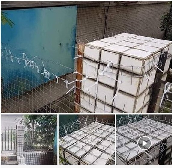 該店家先前刊登搭建鐵絲網和街貓奮戰的照片。 圖:新北市動保處/提供 該店家先前刊登搭建鐵絲網和街貓奮戰的照片。 圖:新北市動保處/提供