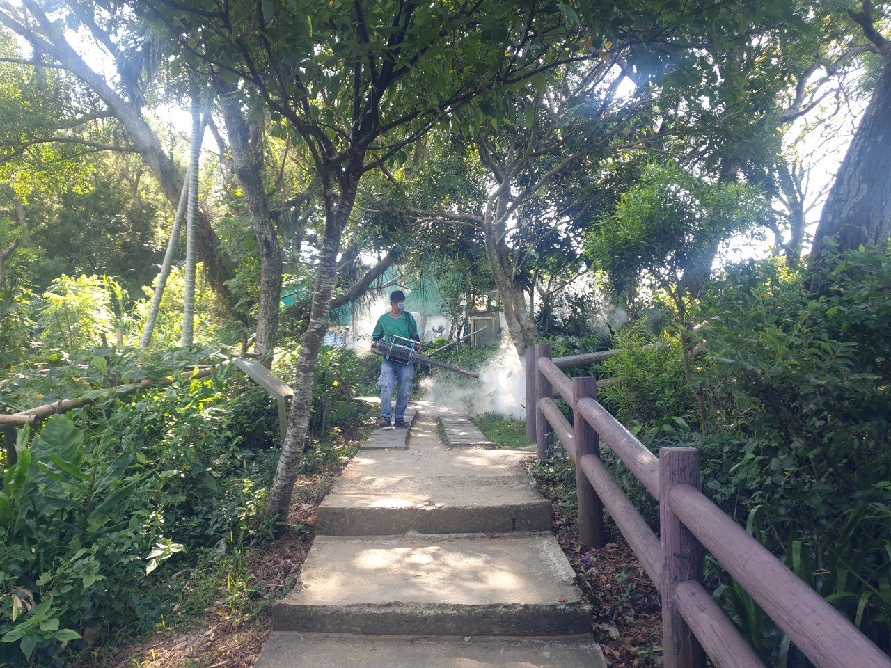 新北市新增3例本土屈公病例,活動範圍都有國強嶺有關,市府派員持續進行大範圍的區塊防治計畫。 圖:新北市衛生局提供 新北市新增3例本土屈公病例,活動範圍都有國強嶺有關,市府派員持續進行大範圍的區塊防治計畫。 圖:新北市衛生局提供