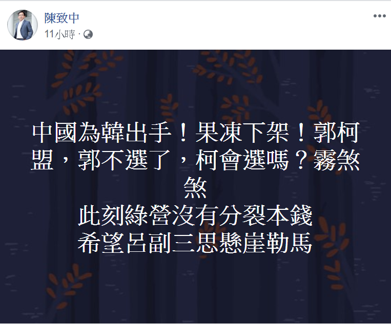 陳致中呼籲呂秀蓮三思「懸崖勒馬」。 圖/翻攝自陳致中臉書 陳致中呼籲呂秀蓮三思「懸崖勒馬」。 圖/翻攝自陳致中臉書