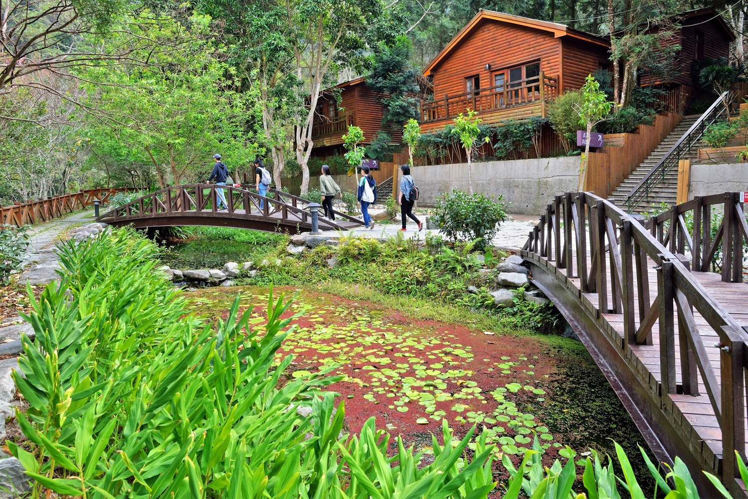 八仙山莊。 圖:台中市觀旅局/提供 八仙山莊。 圖:台中市觀旅局/提供