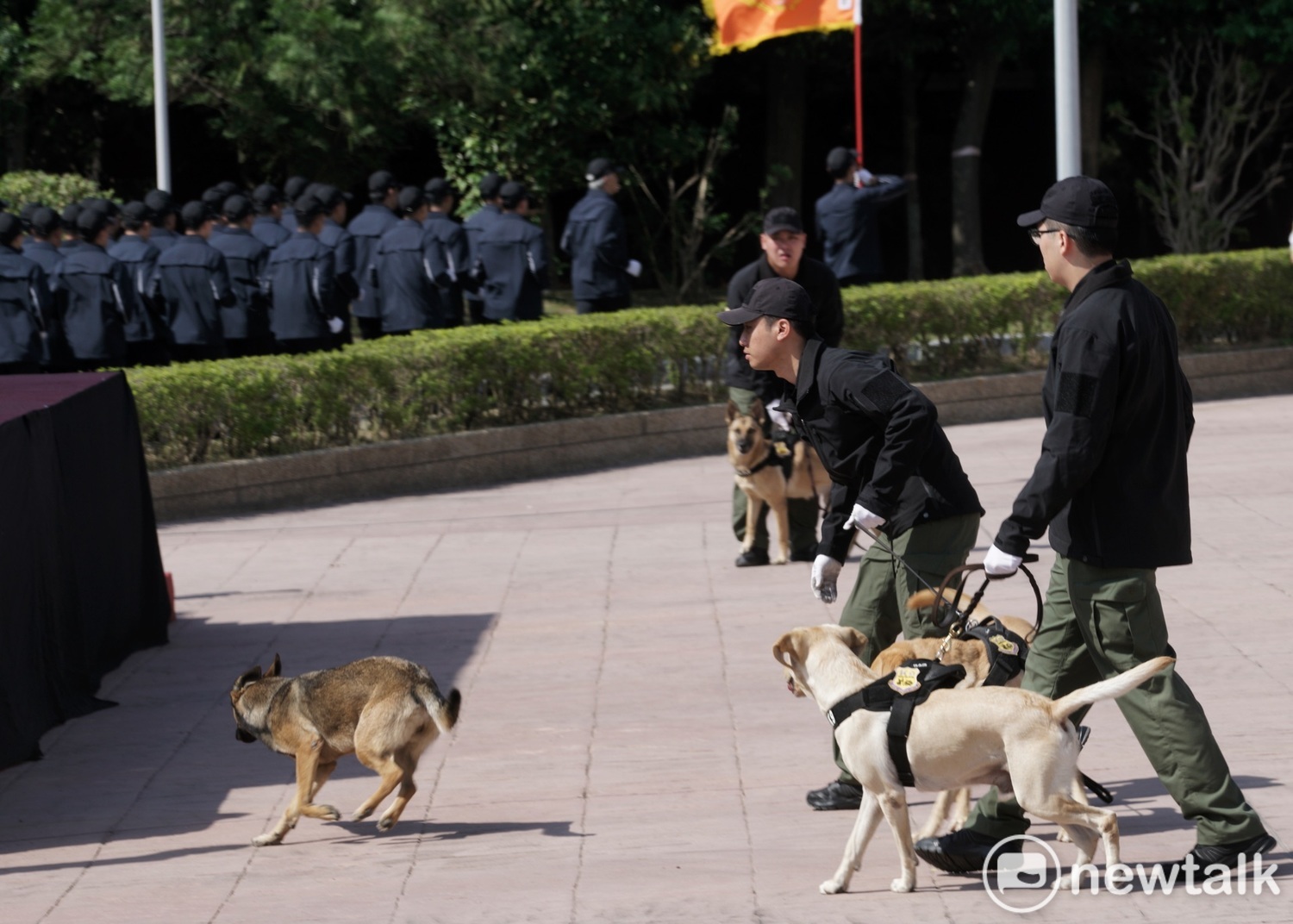 編成典禮結束後,一隻偵爆犬掙脫頸圈,在校閱場跑起來。 圖:張良一/攝 編成典禮結束後,一隻偵爆犬掙脫頸圈,在校閱場跑起來。 圖:張良一/攝