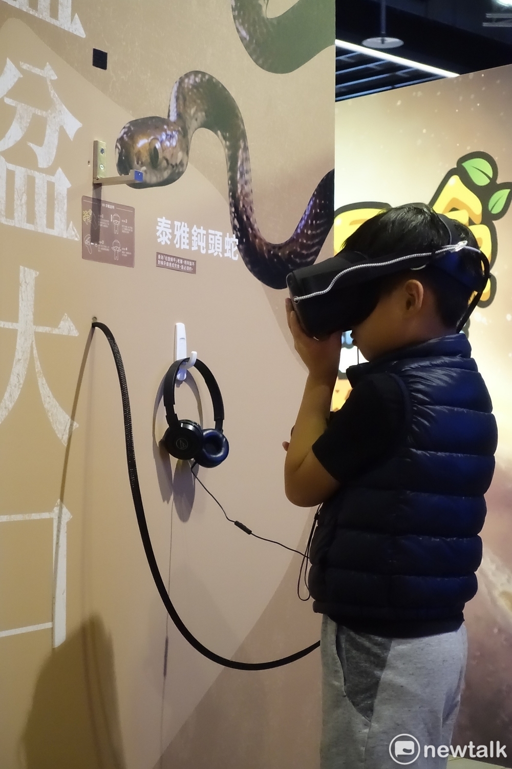 「微距大冒險區」展示活體及生物標本,讓觀眾先看實體再進入虛擬世界,感受40到100倍放大的立體VR驚奇。 圖:郜敏/攝 「微距大冒險區」展示活體及生物標本,讓觀眾先看實體再進入虛擬世界,感受40到100倍放大的立體VR驚奇。 圖:郜敏/攝