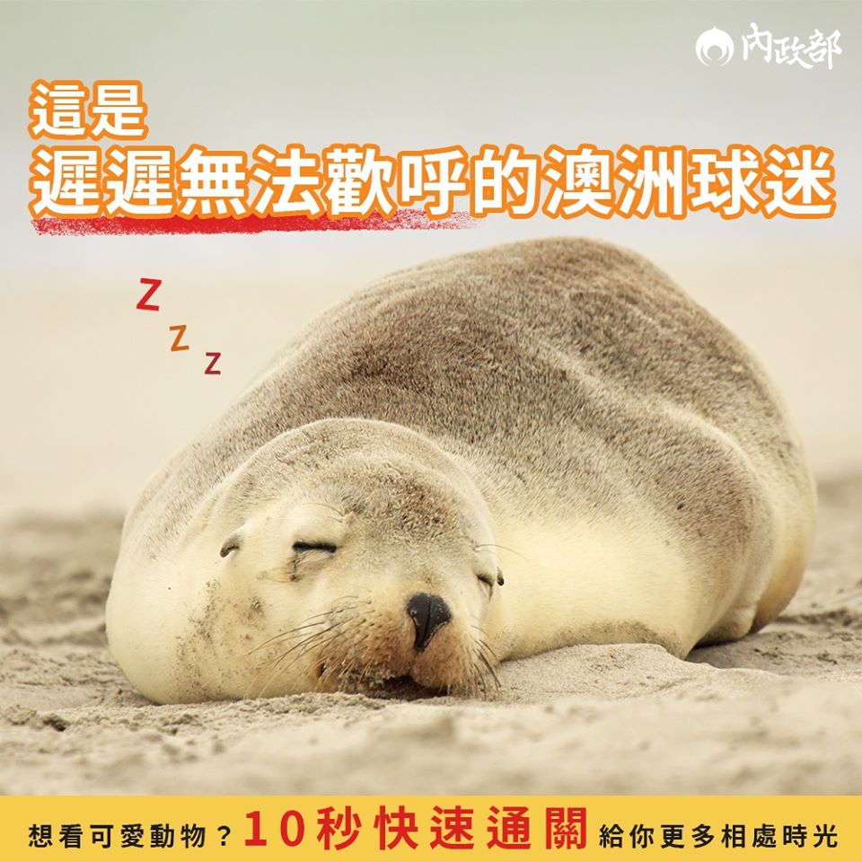 這是看似十分疲累而「遲遲無法歡呼的澳洲球迷」。 圖:翻攝自內政部臉書 這是看似十分疲累而「遲遲無法歡呼的澳洲球迷」。 圖:翻攝自內政部臉書