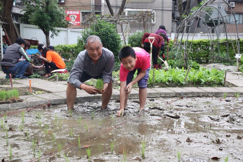 新泰國小學生與樂齡志工一同種田,體會田園樂趣。 圖:新北市教育局/提供 新泰國小學生與樂齡志工一同種田,體會田園樂趣。 圖:新北市教育局/提供