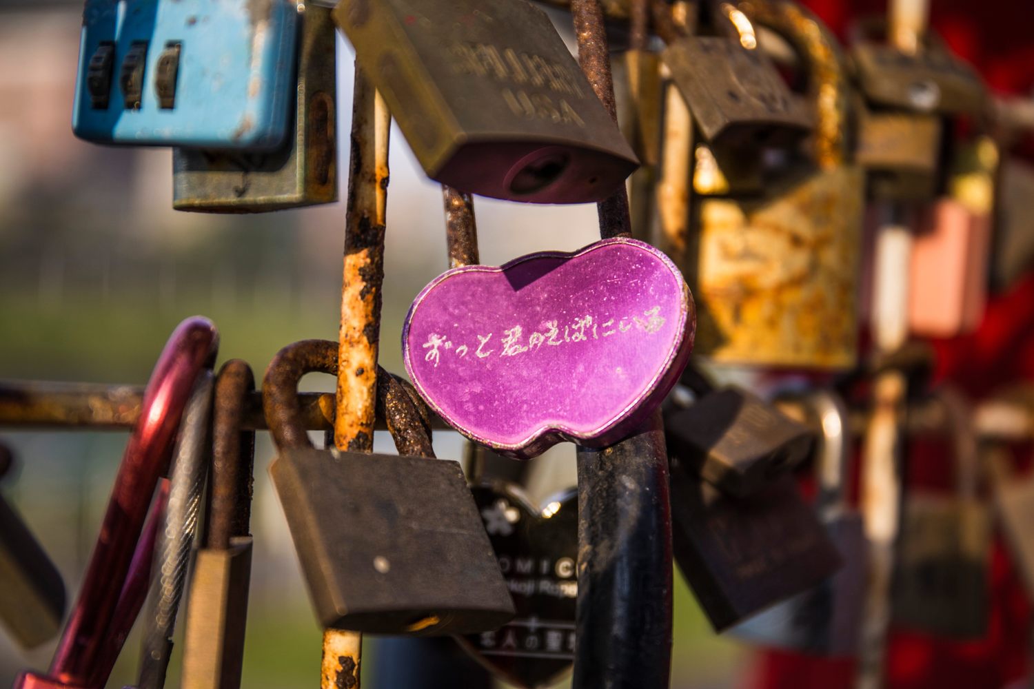 成美左右岸河濱公園設有多樣愛情主題設施物,像是愛情鎖。 圖:台北市水利處/提供 成美左右岸河濱公園設有多樣愛情主題設施物,像是愛情鎖。 圖:台北市水利處/提供