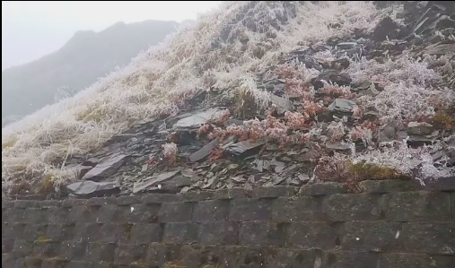 有民眾在合歡山小風口33-35K拍攝到冰霰與雨水一同落下 圖:網友古禮榮/授權提供 有民眾在合歡山小風口33-35K拍攝到冰霰與雨水一同落下 圖:網友古禮榮/授權提供