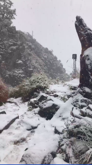雪霸保育志工鄧安美表示,雪東4.0k以上下雪且開始有積雪,並提醒上山的山友注意安全。 圖:雪霸保育志工鄧安美/授權提供 雪霸保育志工鄧安美表示,雪東4.0k以上下雪且開始有積雪,並提醒上山的山友注意安全。 圖:雪霸保育志工鄧安美/授權提供