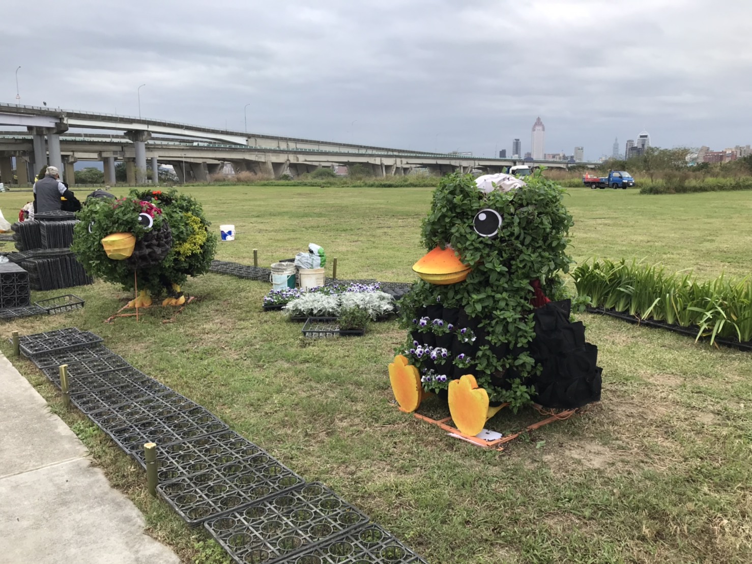 綠雕鴨鴨用花草種植於3米高的鋼構骨架,從草地上長出來。 圖:新北市政府高灘地工程管理處/提供 綠雕鴨鴨用花草種植於3米高的鋼構骨架,從草地上長出來。 圖:新北市政府高灘地工程管理處/提供