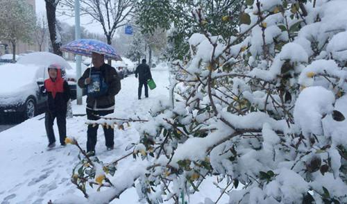 北京降雪。 圖 : 翻攝自微博 北京降雪。 圖 : 翻攝自微博