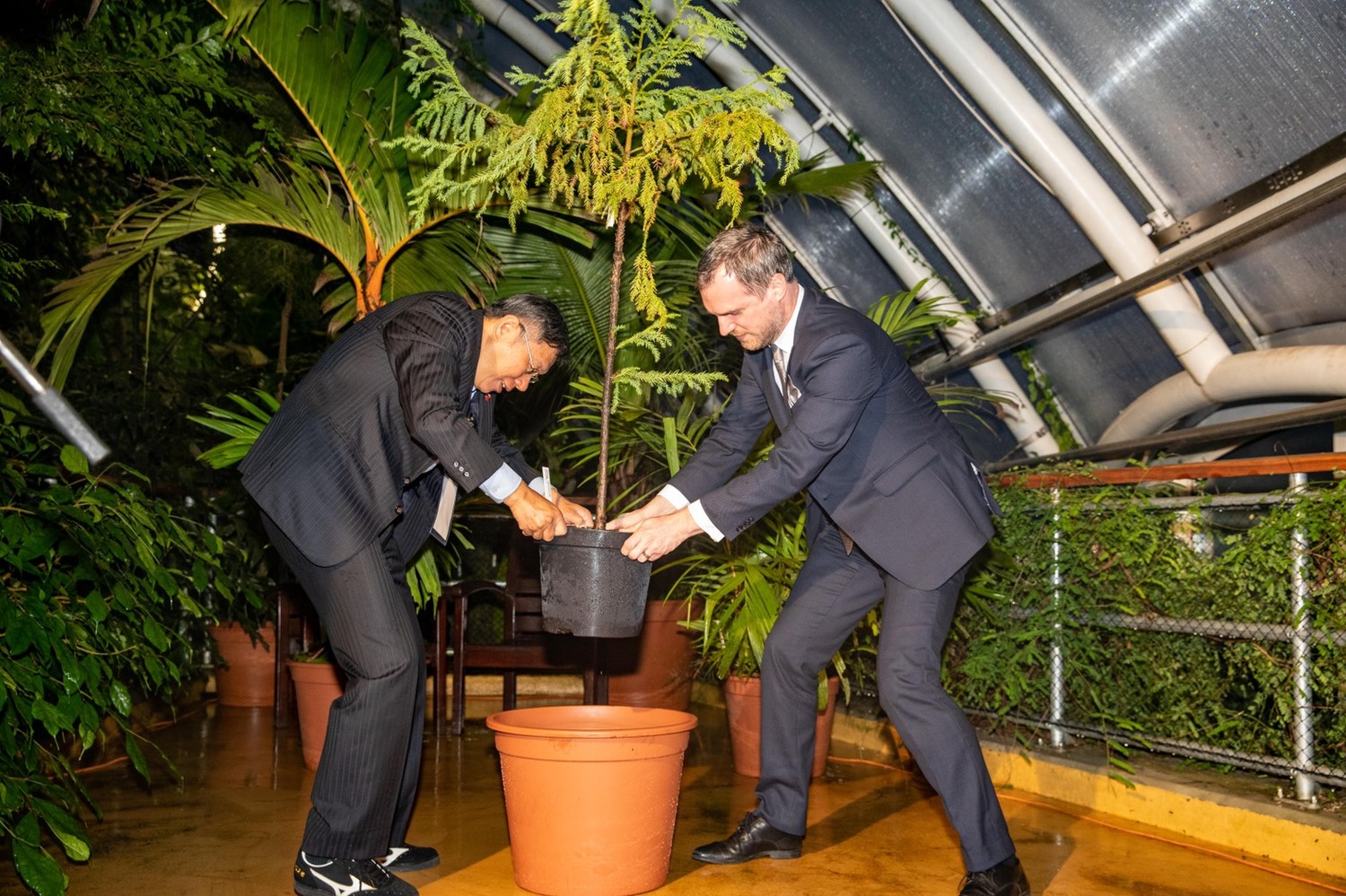 台北市長柯文哲(左)與布拉格市長賀瑞普(右)一起種下小樹苗。 圖:台北市政府 / 提供 台北市長柯文哲(左)與布拉格市長賀瑞普(右)一起種下小樹苗。 圖:台北市政府 / 提供