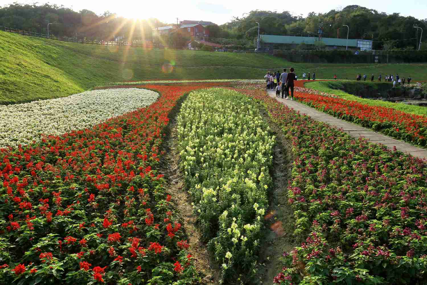 大溝溪的植被依著小山坡蜿蜒,花圃、綠草與流水相伴,地勢平坦好逛。 圖:台北市水利處/提供 大溝溪的植被依著小山坡蜿蜒,花圃、綠草與流水相伴,地勢平坦好逛。 圖:台北市水利處/提供