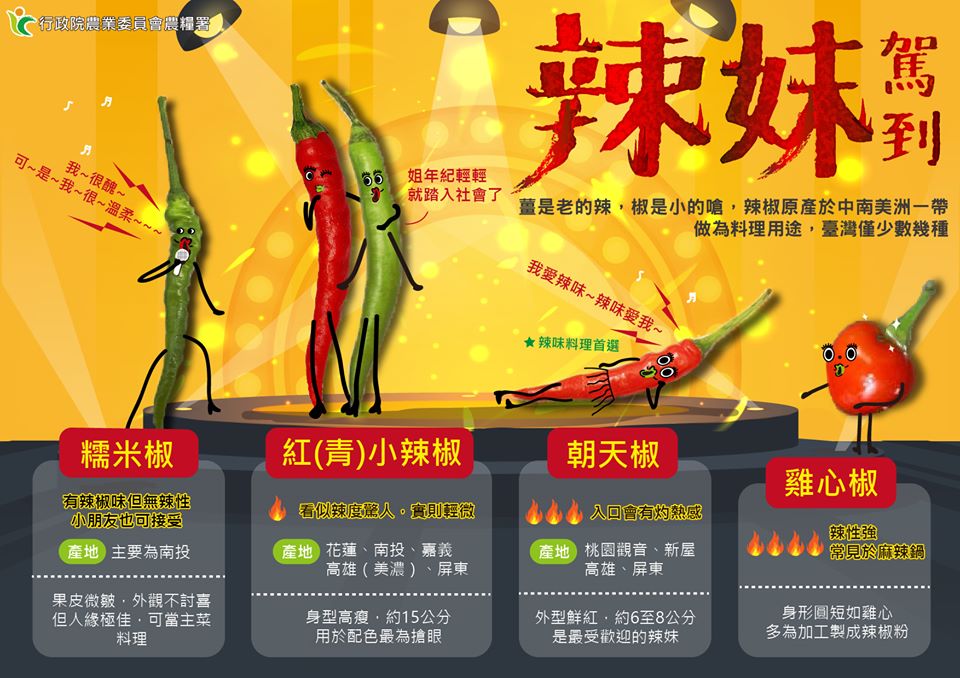 辣椒的品種眾多,依漿果果形有球形、圓錐、長角及扁圓形等,各有調味、鮮食、漬泡以及觀賞的功能 圖:取自農委會粉絲專頁 辣椒的品種眾多,依漿果果形有球形、圓錐、長角及扁圓形等,各有調味、鮮食、漬泡以及觀賞的功能 圖:取自農委會粉絲專頁