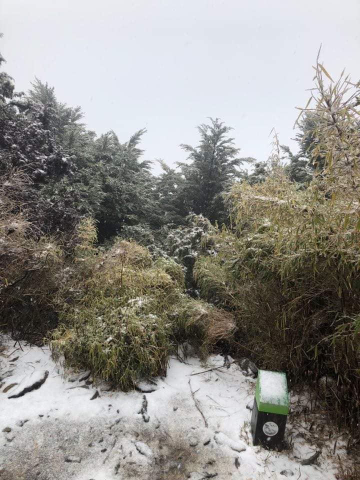 北大武山山頂白雪。屏東林管處表示,是自民國94年以來,首度飄瑞雪。 圖:翻攝屏東林區管理處北大武山資訊站臉書 北大武山山頂白雪。屏東林管處表示,是自民國94年以來,首度飄瑞雪。 圖:翻攝屏東林區管理處北大武山資訊站臉書