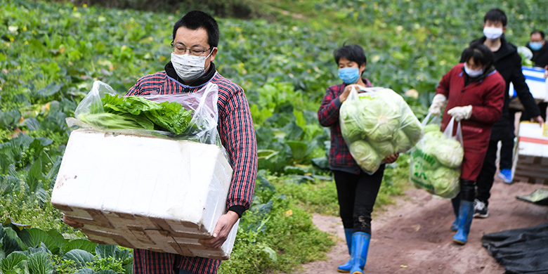 中國武漢肺炎疫情嚴重,目前已經有近70座城市封城。 圖:翻攝自中國政府官網 中國武漢肺炎疫情嚴重,目前已經有近70座城市封城。 圖:翻攝自中國政府官網