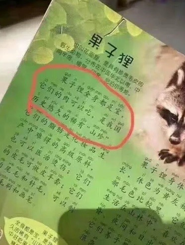 中國兒童讀物竟稱,「果子狸全身都是寶,它們的肉可以吃,是我國歷史悠久的稀有山珍」。 圖:翻攝自微信 中國兒童讀物竟稱,「果子狸全身都是寶,它們的肉可以吃,是我國歷史悠久的稀有山珍」。 圖:翻攝自微信