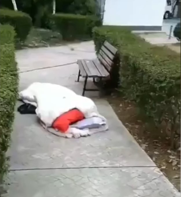 他們在地板舖上幾片紙板,再放上簡單的棉被,盼能度過這個寒冬。 圖:翻攝自Youtube 他們在地板舖上幾片紙板,再放上簡單的棉被,盼能度過這個寒冬。 圖:翻攝自Youtube