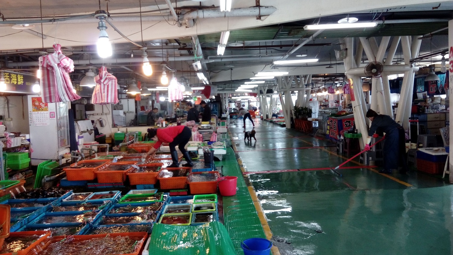富基魚市整體環境乾淨明亮,新北市府歡迎遊客前往消費觀光。 圖:新北市農業局漁管處提供 富基魚市整體環境乾淨明亮,新北市府歡迎遊客前往消費觀光。 圖:新北市農業局漁管處提供