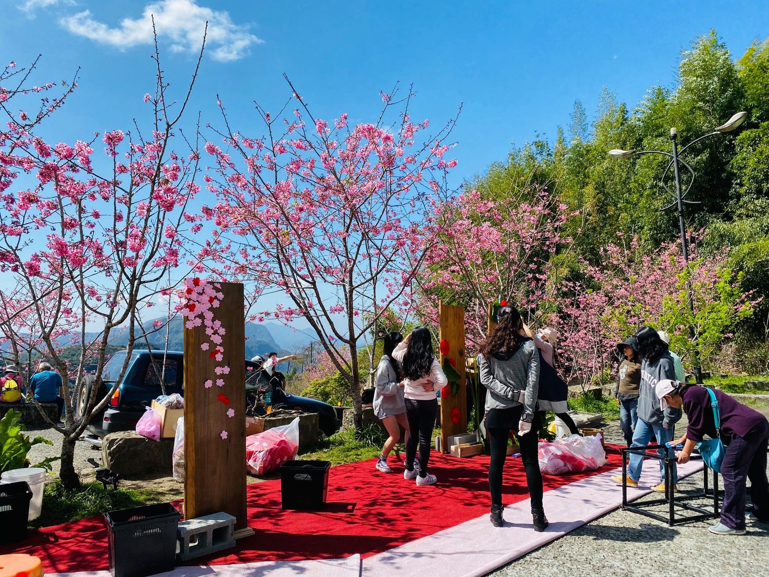 阿里山國家風景區管理處以櫻花季觀光宣傳影片「春櫻夜遊園驚夢」奪得「最佳東亞影像獎」。 圖:翻攝自阿里山新印象臉書 阿里山國家風景區管理處以櫻花季觀光宣傳影片「春櫻夜遊園驚夢」奪得「最佳東亞影像獎」。 圖:翻攝自阿里山新印象臉書