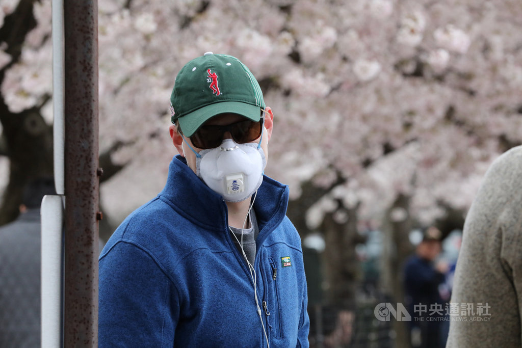 美國首府華盛頓櫻花21日達到盛開期,有人配戴口罩賞櫻,以避免感染2019年冠狀病毒疾病(COVID-19)。 圖/中央社 美國首府華盛頓櫻花21日達到盛開期,有人配戴口罩賞櫻,以避免感染2019年冠狀病毒疾病(COVID-19)。 圖/中央社