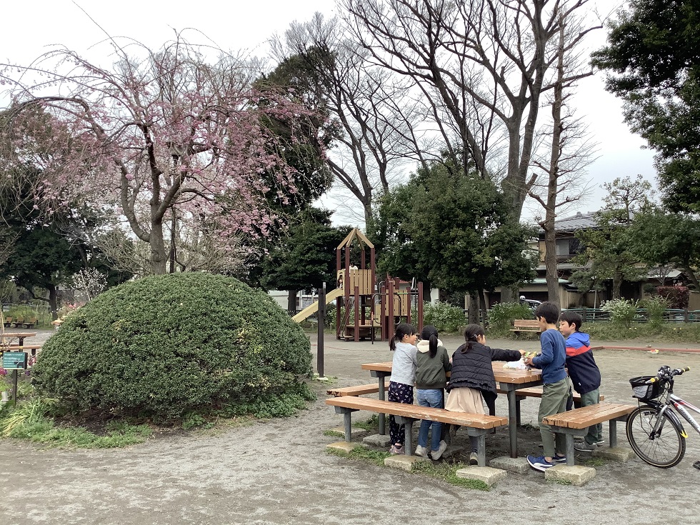 小朋友在櫻花樹下群聚,是違反東京都要求的。 圖:劉黎兒攝影 小朋友在櫻花樹下群聚,是違反東京都要求的。 圖:劉黎兒攝影