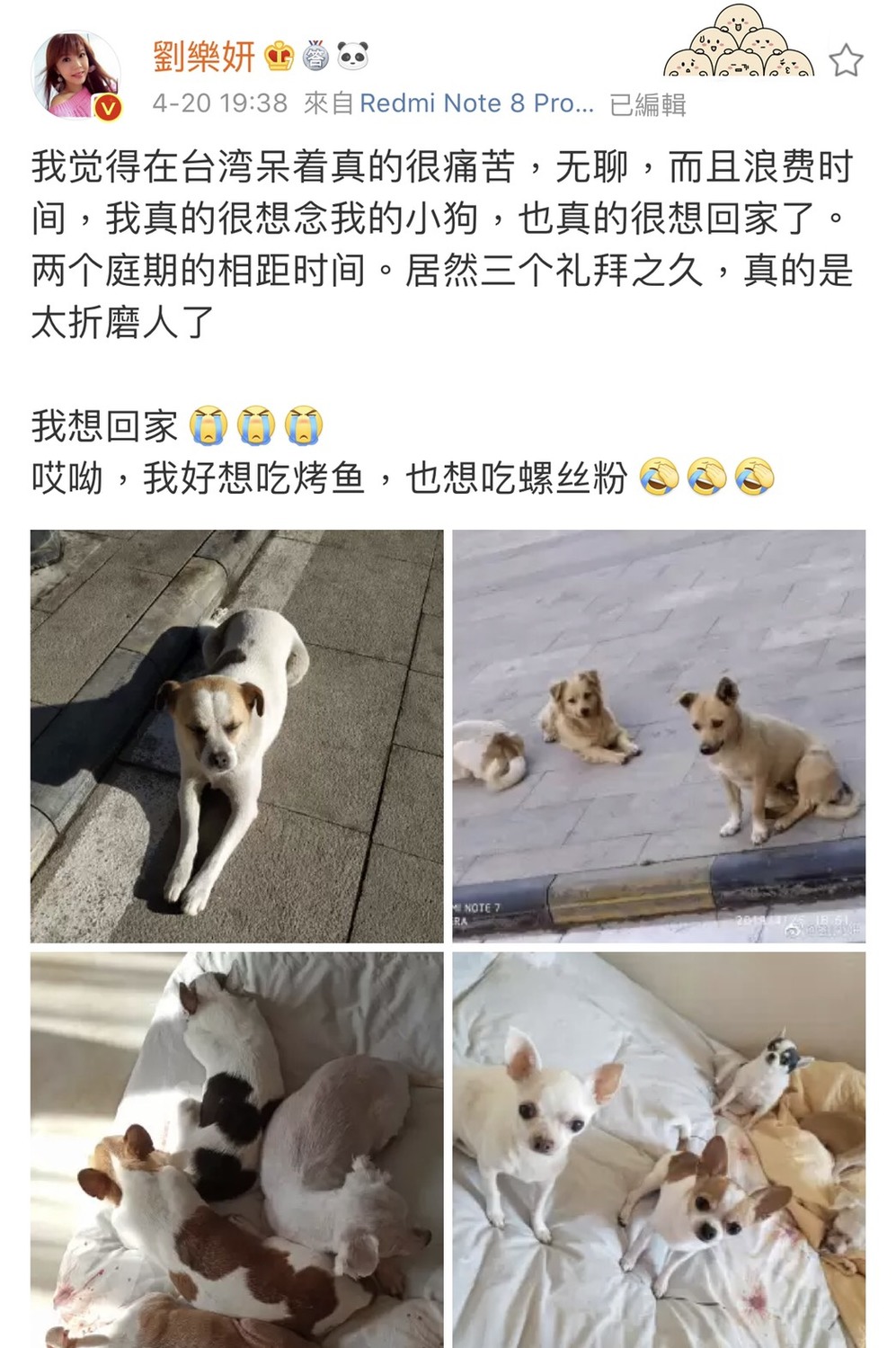 藝人劉樂妍20日在微博發文,表明自己待在台灣真的很痛苦。 圖:擷取劉樂妍微博 藝人劉樂妍20日在微博發文,表明自己待在台灣真的很痛苦。 圖:擷取劉樂妍微博