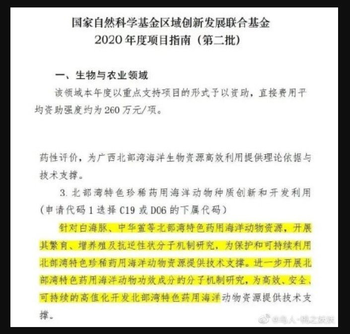 國家自然科學基金委員會官網日前公布「國家自然科學基金區域創新發展聯合基金2020年度項目指南(第二批)」文件,內容中清楚記載,將白海豚列為藥物研究一事。 圖:翻攝自微博 國家自然科學基金委員會官網日前公布「國家自然科學基金區域創新發展聯合基金2020年度項目指南(第二批)」文件,內容中清楚記載,將白海豚列為藥物研究一事。 圖:翻攝自微博