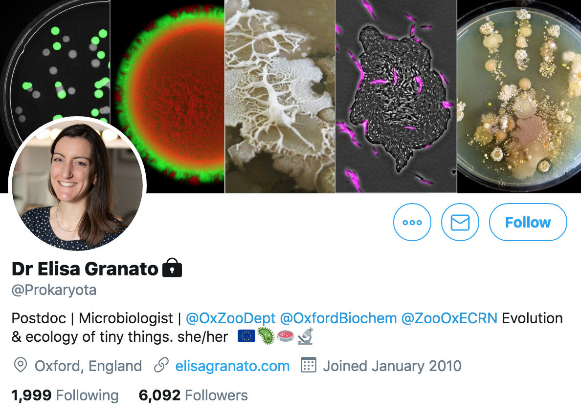 格拉納托在個人社交媒體上發文辟謠。 圖:翻攝自「Dr Elisa Granato」Twitter 格拉納托在個人社交媒體上發文辟謠。 圖:翻攝自「Dr Elisa Granato」Twitter