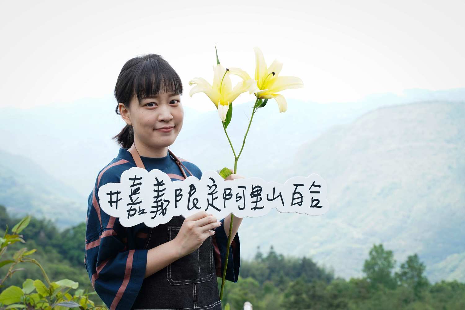 嘉義縣阿里山的百合花可以當成母親節禮物。 圖:嘉義縣政府/提供 嘉義縣阿里山的百合花可以當成母親節禮物。 圖:嘉義縣政府/提供