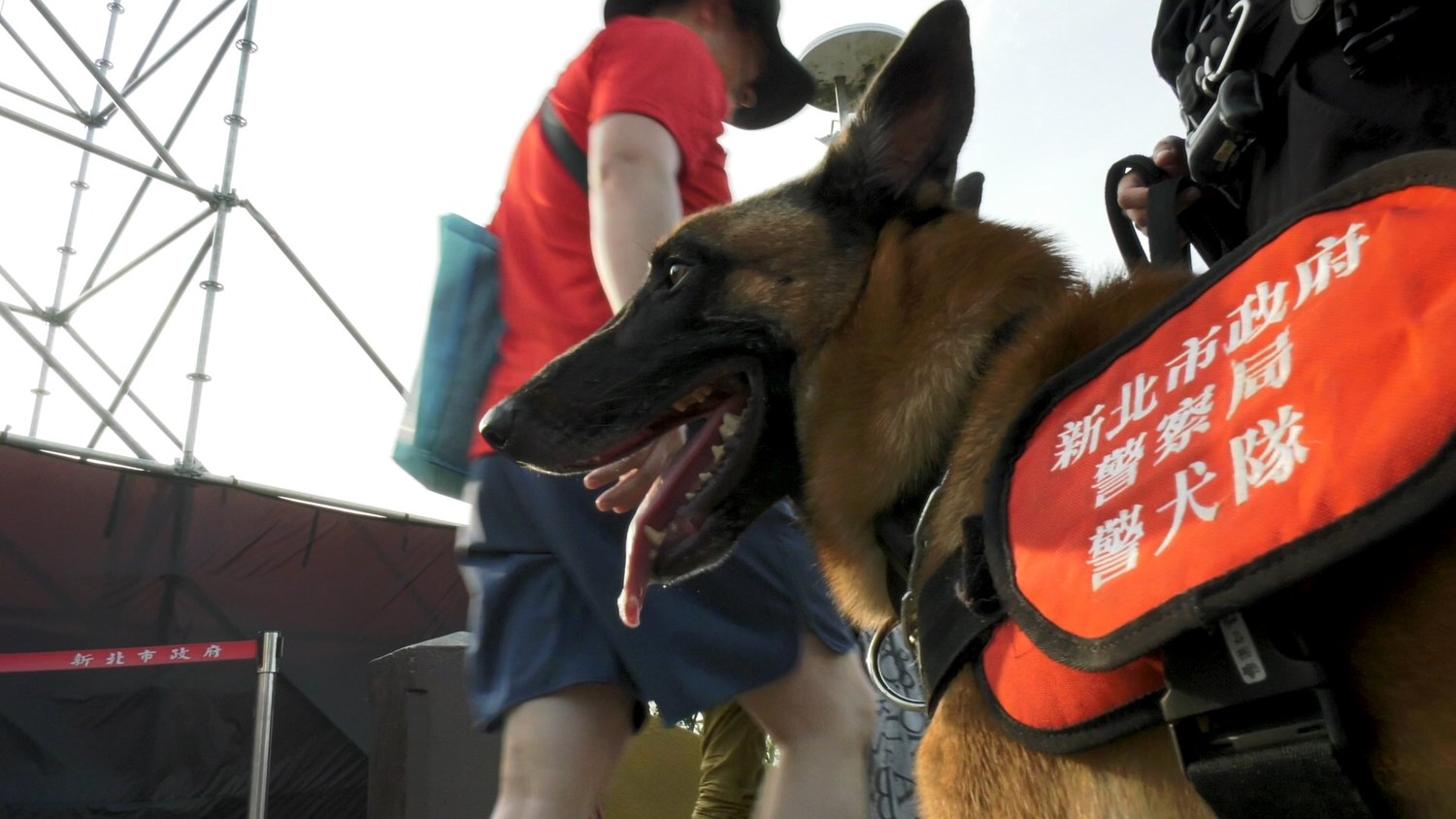 《K9 Canine》記錄新北市警犬隊從幼犬出生起,到訓練成為警犬的完整過程,以及警犬領犬員面對訓練挫折的心路歷程。 圖:新北市新聞局提供 《K9 Canine》記錄新北市警犬隊從幼犬出生起,到訓練成為警犬的完整過程,以及警犬領犬員面對訓練挫折的心路歷程。 圖:新北市新聞局提供