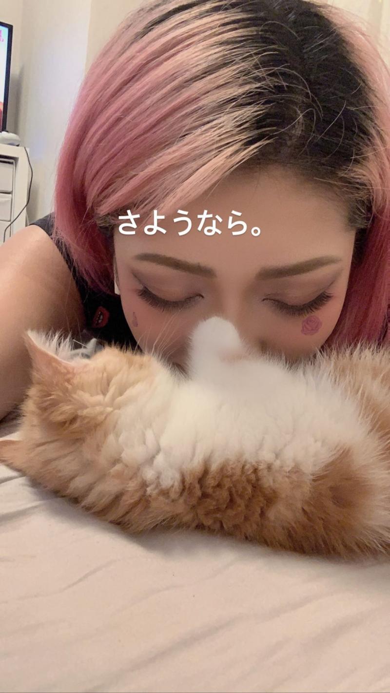 木村花在IG上寫下對愛貓的告白不久後便自縊身亡,令親友與粉絲相當難過不捨。 圖 : 翻攝自木村花IG 木村花在IG上寫下對愛貓的告白不久後便自縊身亡,令親友與粉絲相當難過不捨。 圖 : 翻攝自木村花IG