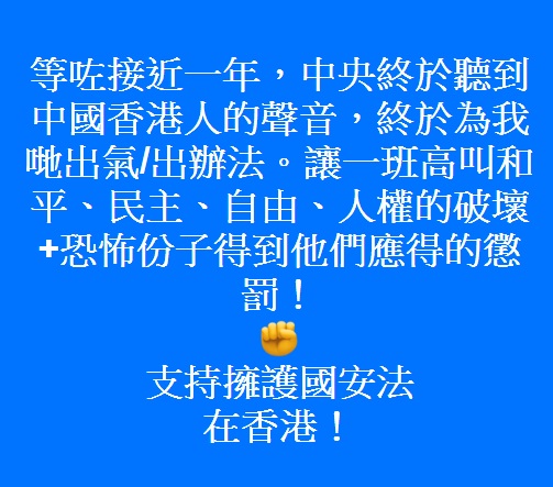 親中建制派港人感謝中共通過國安法 圖:擷取自臉書 親中建制派港人感謝中共通過國安法 圖:擷取自臉書