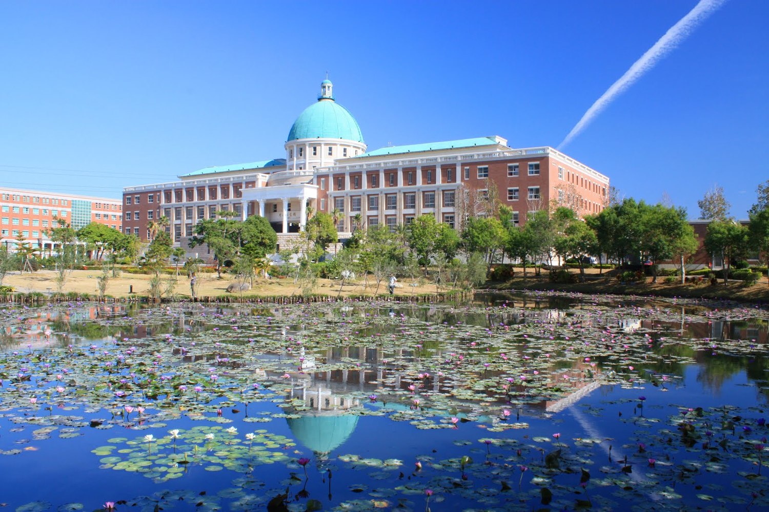 亞洲大學荷花池。 圖:台中觀旅局/提供 亞洲大學荷花池。 圖:台中觀旅局/提供