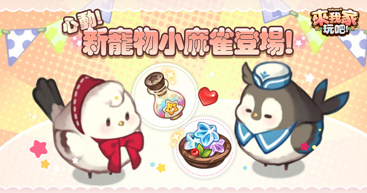 新型態寵物小麻雀 圖:華義國際/提供 新型態寵物小麻雀 圖:華義國際/提供