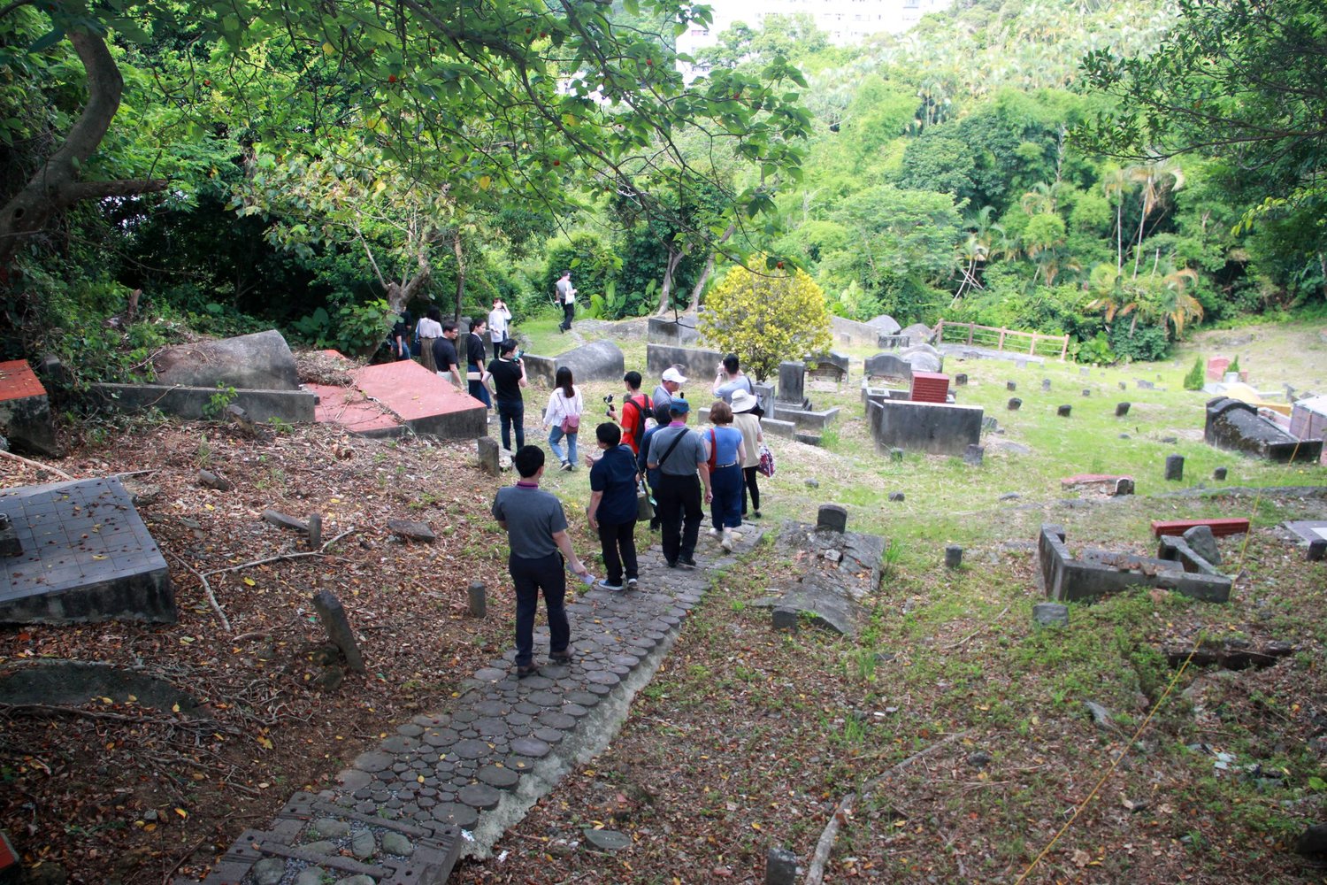 六張犁墓園。 圖:促轉會提供 六張犁墓園。 圖:促轉會提供