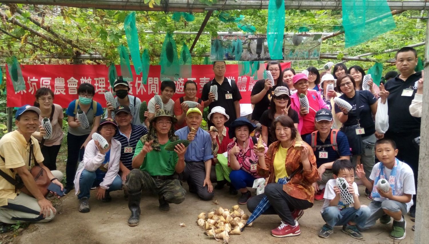 深坑是新北綠竹筍重要產地之一,田間採筍趣活動回響熱烈。 圖:新北市農業局提供 深坑是新北綠竹筍重要產地之一,田間採筍趣活動回響熱烈。 圖:新北市農業局提供
