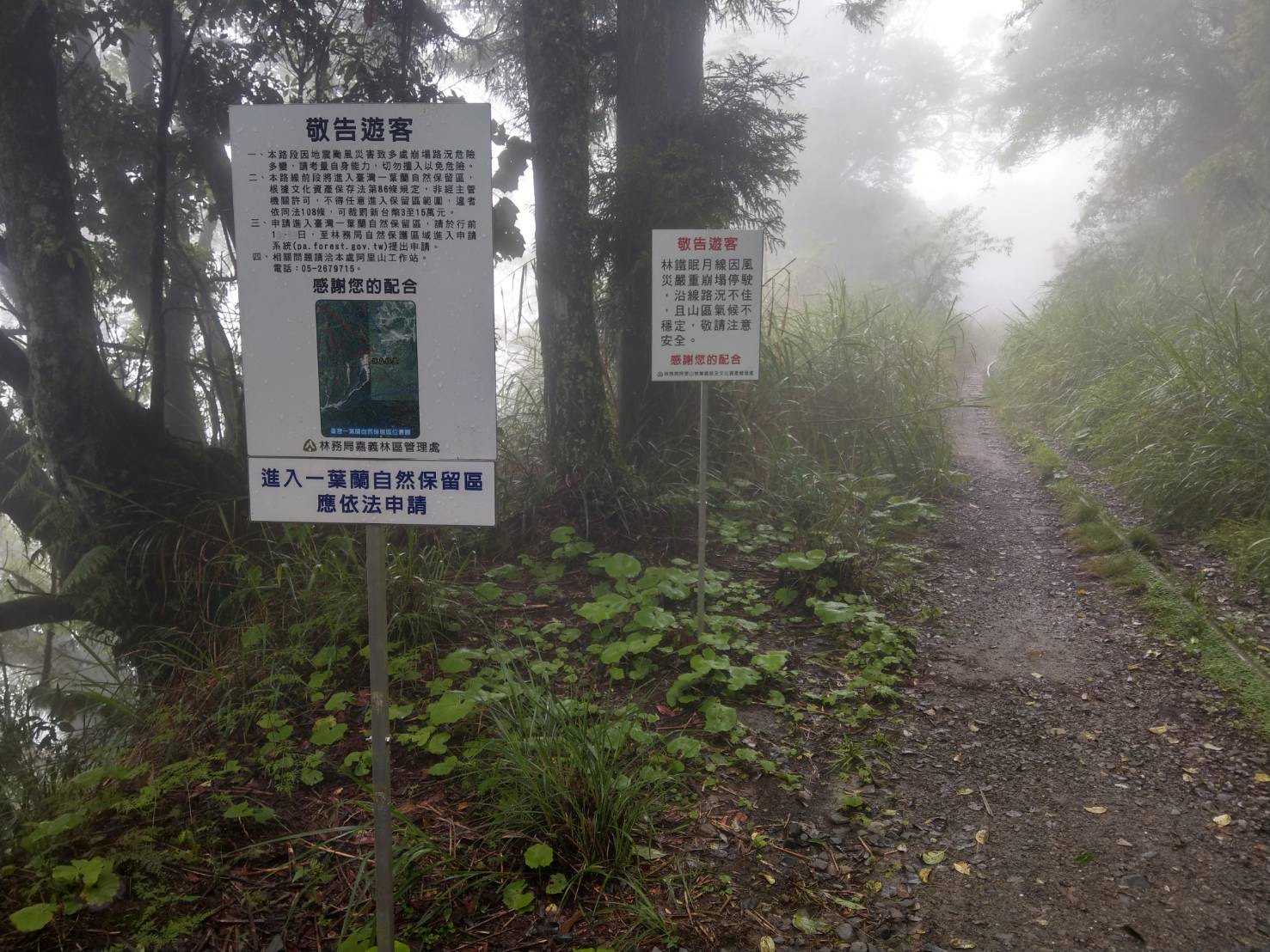 進入一葉蘭保留區申請告示牌。 圖:林務局/提供 進入一葉蘭保留區申請告示牌。 圖:林務局/提供
