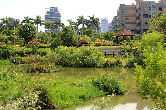 塭仔底溼地公園本身也是小生態圈,很適合帶孩子來認識常見水鳥。 圖:翻攝自新北水漾網站 塭仔底溼地公園本身也是小生態圈,很適合帶孩子來認識常見水鳥。 圖:翻攝自新北水漾網站